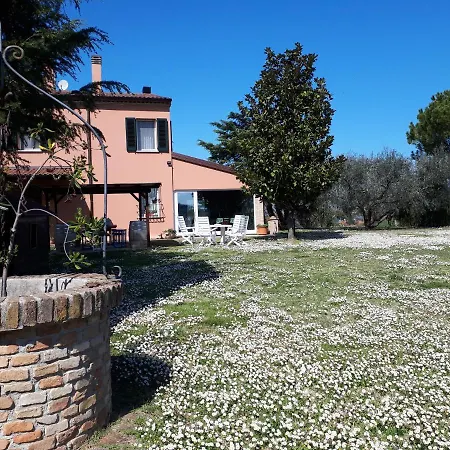 Paradisoincollina Ss بيزارو
