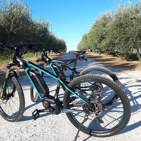 Paradisoincollina ss Vakantieboerderij