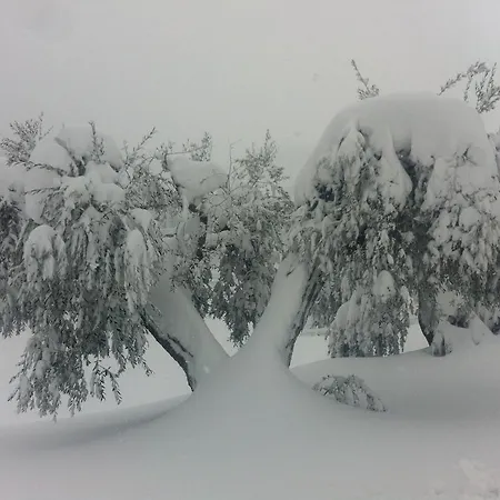 Paradisoincollina Ss Pesaro